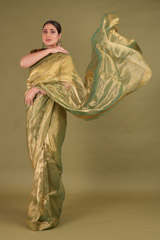 Green Metallic Saree34 video